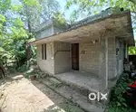 4 cent land with house