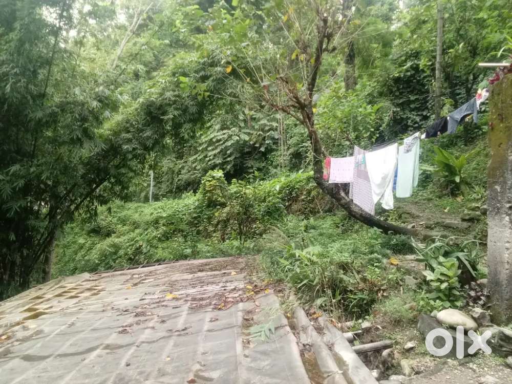 Good location and not regretting in future