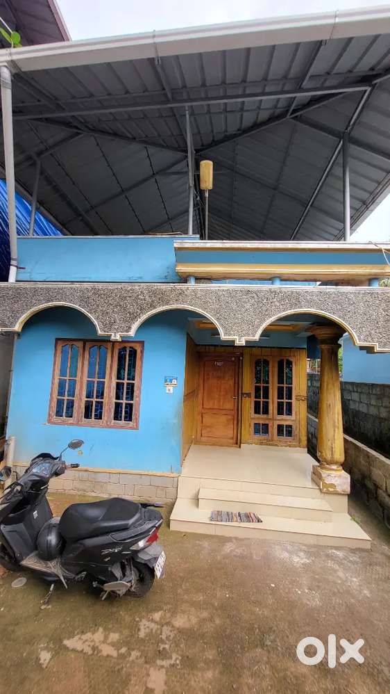 വീടും 10.5 സെന്റ് വസ്തുവും വില്പനക്ക്(urgent sale)