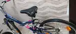 Bitwin decathlon cycle