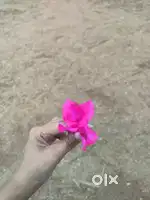 Cart Worker