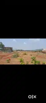 Goudoguda plots for sell