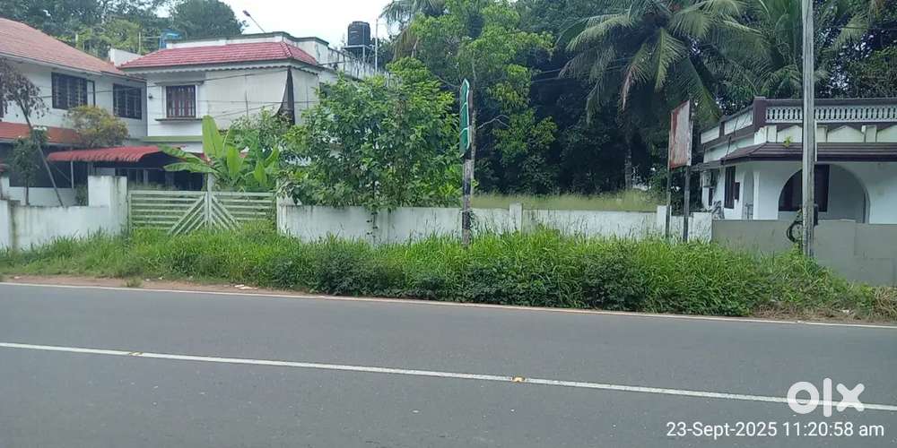 Ettumanoor ernakulam BUSROOT kanakkary 45 cent commercial LAND