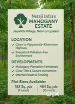 Adl., income, after 12 years through Mahaghani trees.