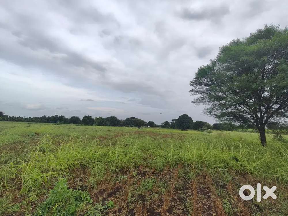 5 एकर 12 गुंठे विकणे आहे, दिंद्रूड 15 feet person road