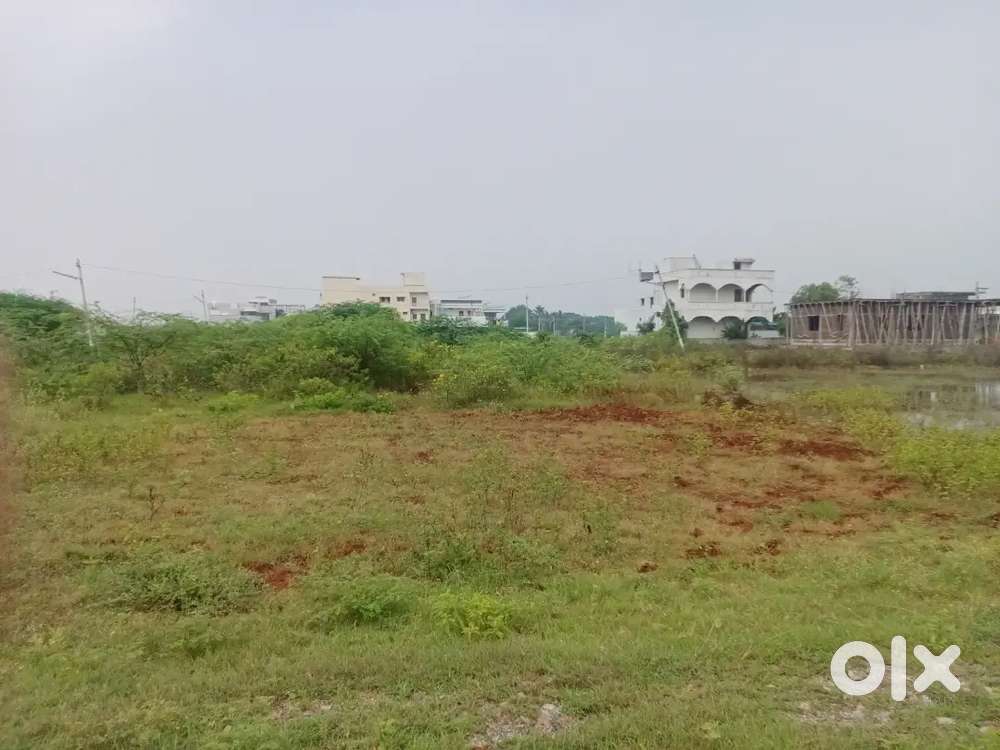 Land for sale ,vidyanagar (teacher colony)