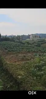 Land for sale in laitkor opposite H.P petrol pump
