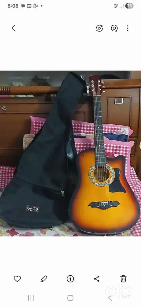 Guitar with cover
