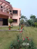 1BIGHA AGRICULTURE LAND FOR SALE
PRICE RS. 15 LAKHS PER BIGHA