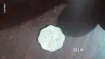 10 paisa coin