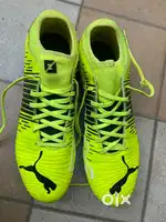 Orignial puma studs