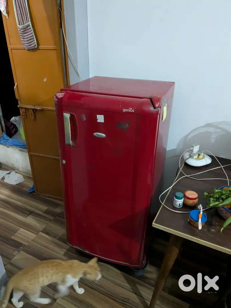 Whirlpool single door fridge