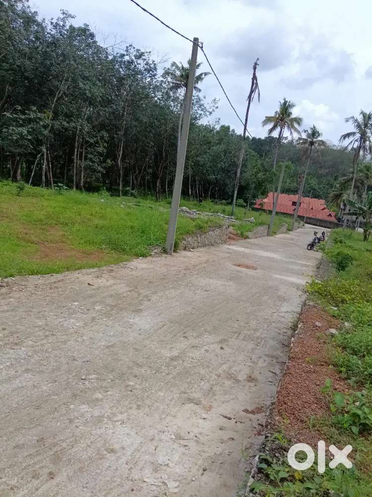 വളരെ വിലക്കുറവിൽ