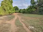 Beautiful and serene orchard farmhouse land