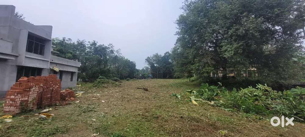 74 Cent Land for Sale