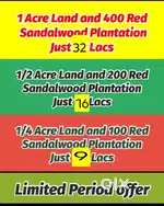 Red sandle wood form land for sale
