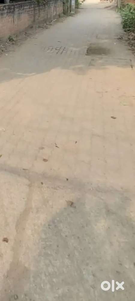 REQUIREMENT OF LAND IN SIX MILE OR ZOO ROAD