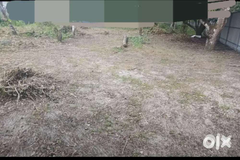 ചേർത്തല ഒറ്റപ്പുന്ന ജംഗ്ഷനിൽ നിന്നും 500 മീറ്റർ സെന്റ് 3.ലക്ഷം