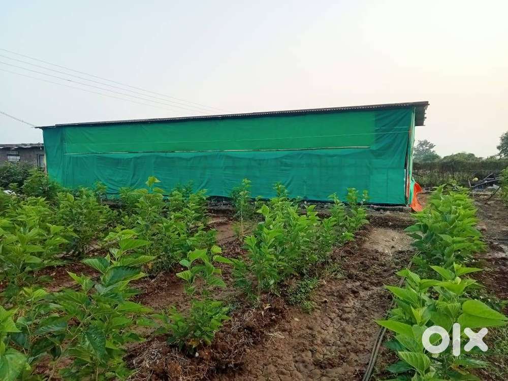 रेशीम उद्योगाची शेती