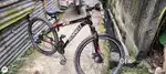 Schnell company cycle