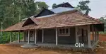 Farm house and Cardamom plantation