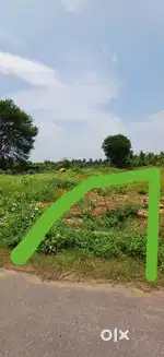 70ft Road facing Site