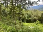 Land for sale at Gangtok