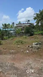 8.3 cents of land for sale at kattaikonam