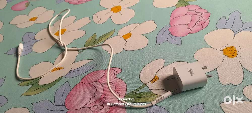 IPhone charger lightning port