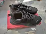 Brand new puma shoes
