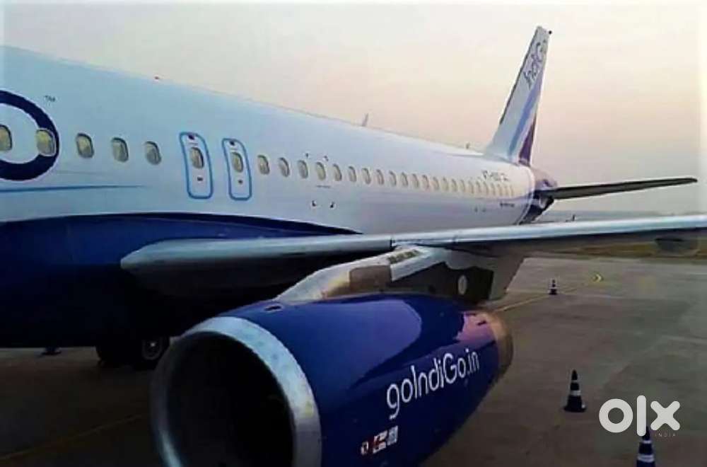 Jobs in indigo airlines apply fast