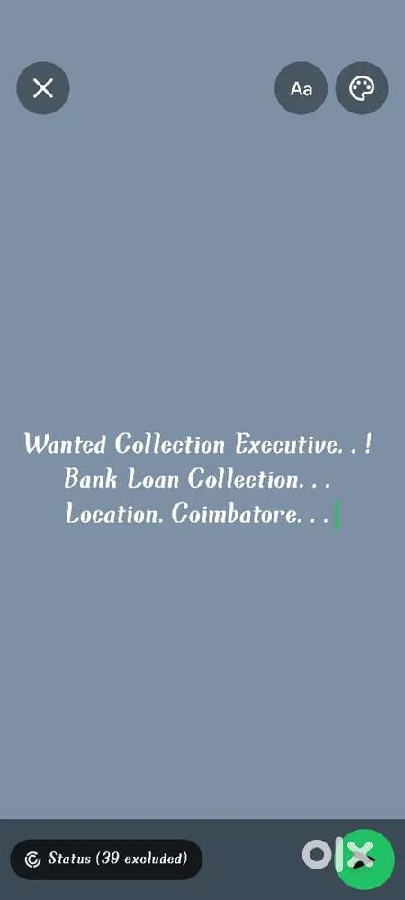 Wanted Collection Executive