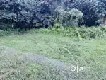 2 কাঁটা জমি বিক্রি হবে খেত