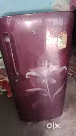 Frij single dor lg