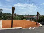 5.300 CENT HOUSE PLOT KAKKANAD JENTION 1KM DISTENCE BHARATH MATHA NEAR