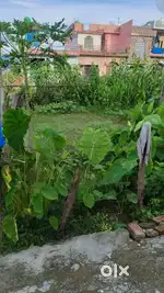 Urgent land sale Visthapit syampur