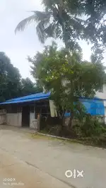 Urgent Sale! OIL FLOUR MILL WITH HOUSE + 11 CENT