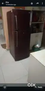 LG DL255 5* refrigerator
