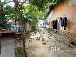 Maruthankuzhiy  Vettamukku kattachal Road 6 Cent Per Cent 14 Lakhs