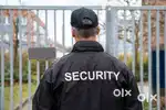 We are urgently required Security Guards for our firm -