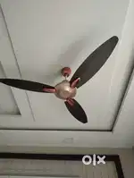 Usha Ceiling Fans to sell