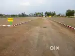 பாச்சல் பாவை கல்லூரி அருகில் அழகிய வீட்டு மனைகள்