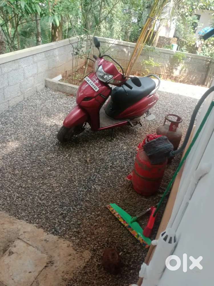 Single use full paper clear