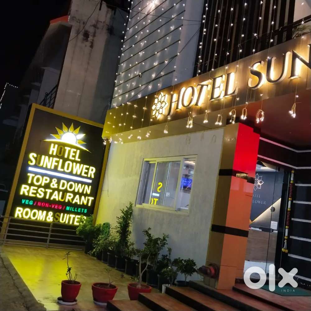 All rounder chef and food extory