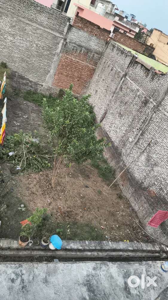 This plot in Amroha uttar pradesh joya road Amroha