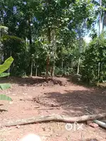 No flood affected