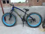 Ciycal model 2025 average full