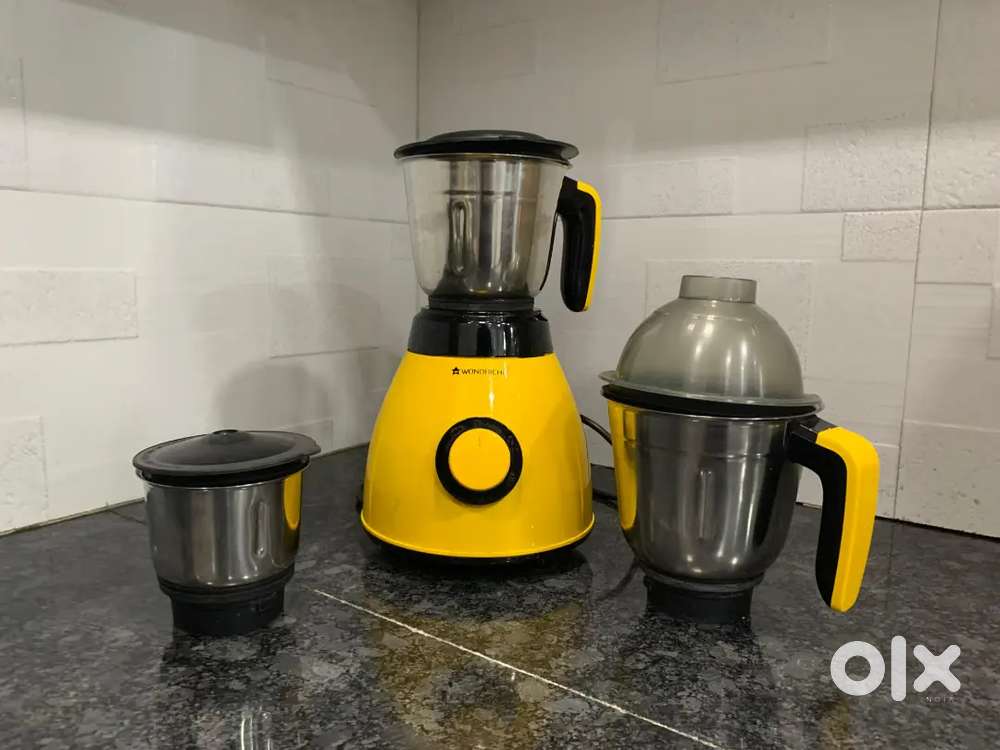 Mixer grinder