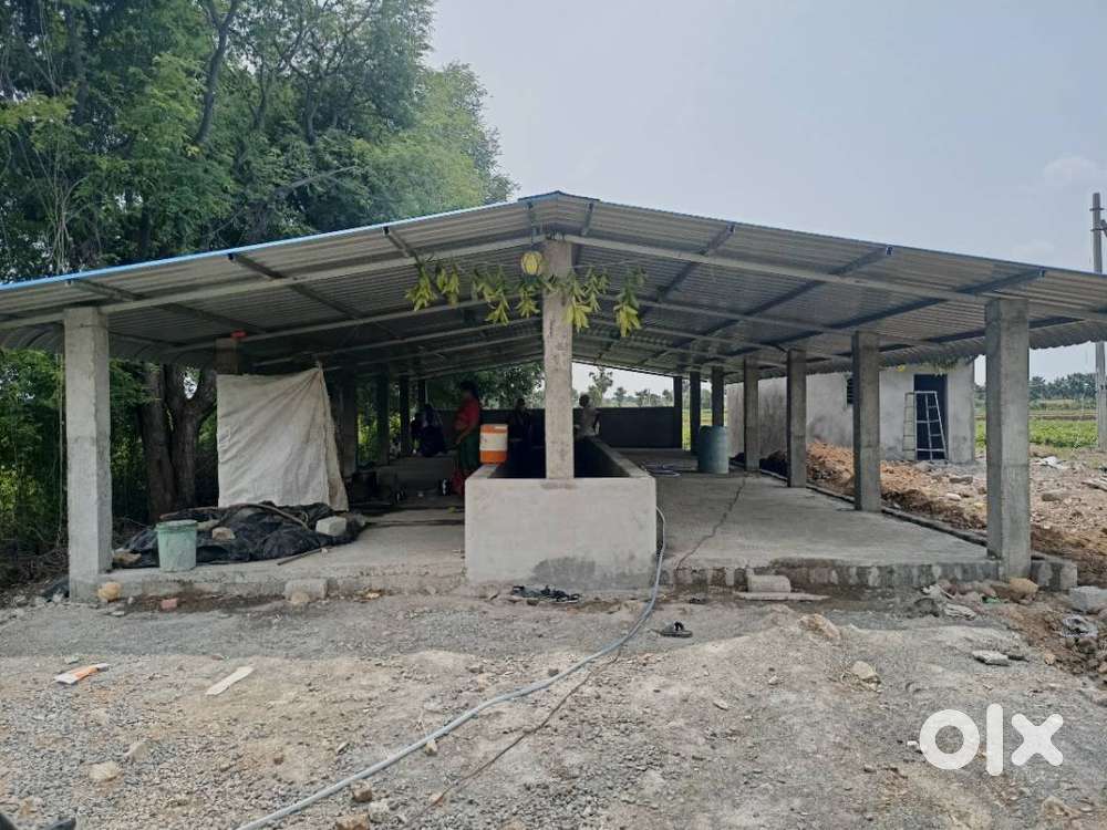 Rent for Dairy farm shed and rooms