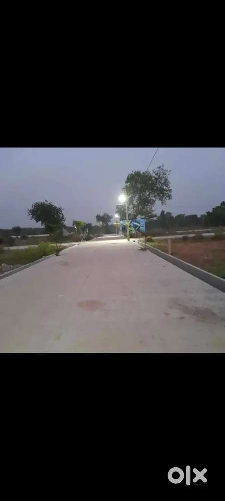 Near Dindayal colony mangla bilapur chhattisgarh